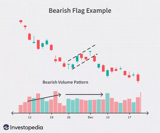 The picture below shows a bear flag